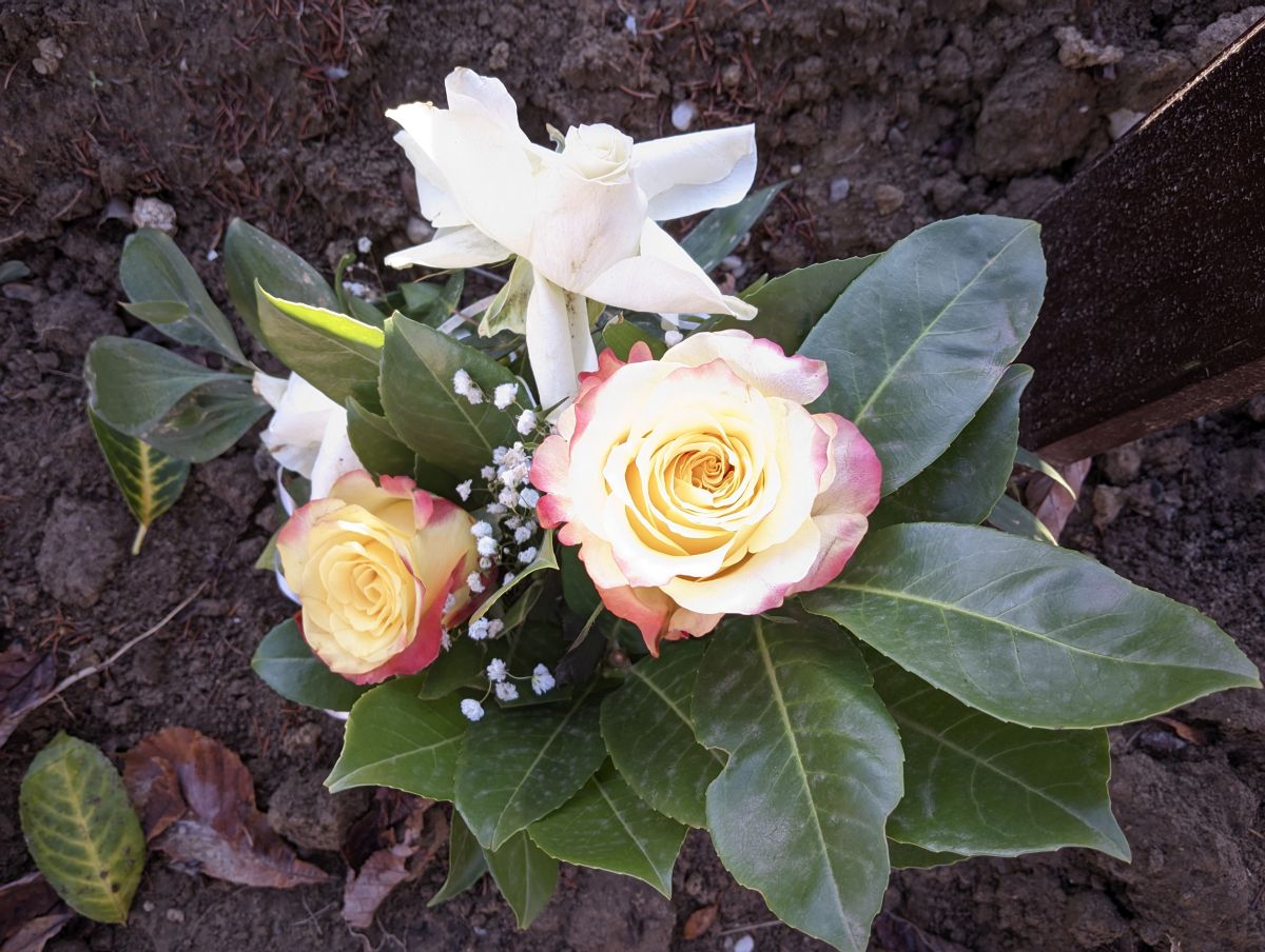 Fotos sobre el clima en Belgrado. Pronósticos del tiempo con hermosas fotos de Neblak