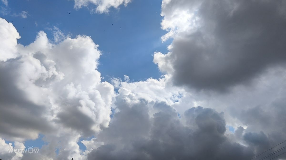 Wetter Photos Litauen. Wettervorhersagen mit schönen Fotos von Valiukas