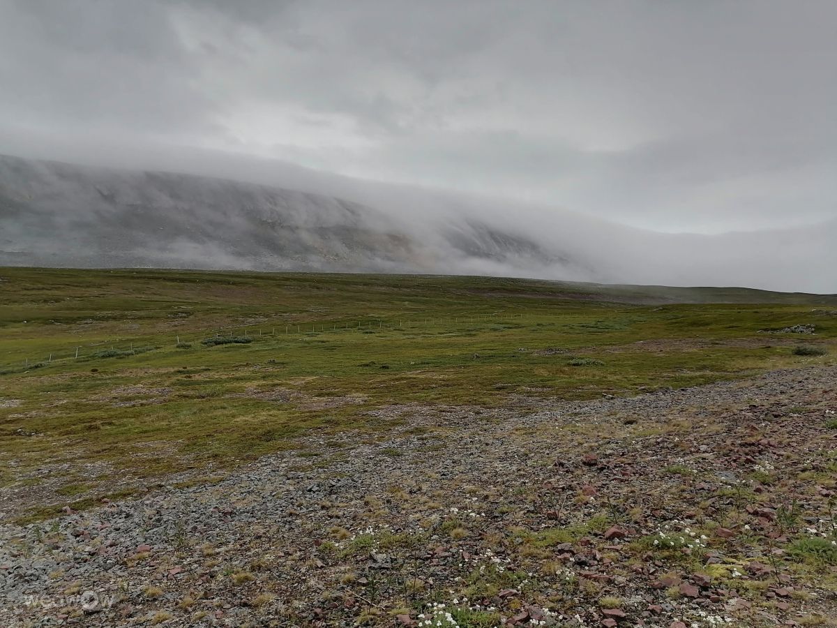 Berlevågの天気写真. Jukiの美しい写真による天気予報