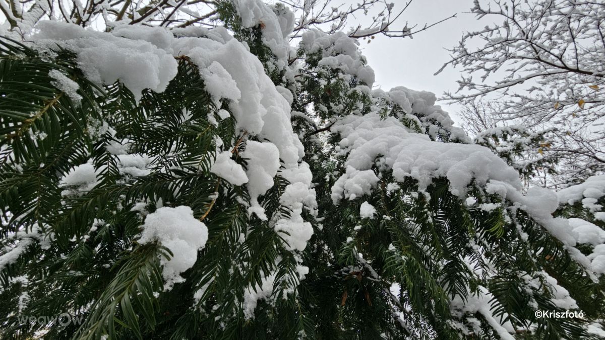 Hình ảnh Thời tiết ở Hungary. Dự báo thời tiết với những bức ảnh đẹp của Kriszfoto