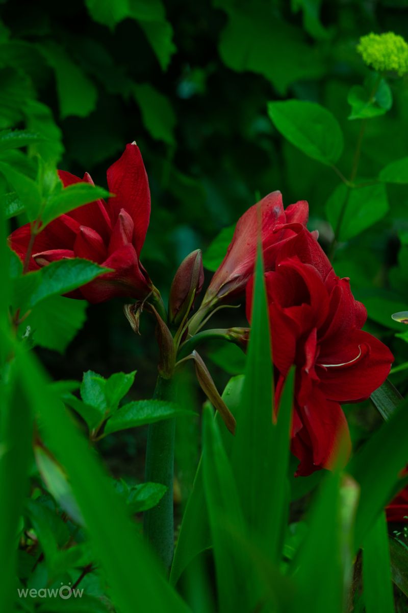 Hình ảnh Thời tiết ở Bulgaria. Dự báo thời tiết với những bức ảnh đẹp của Тодор Тодоров_fb1