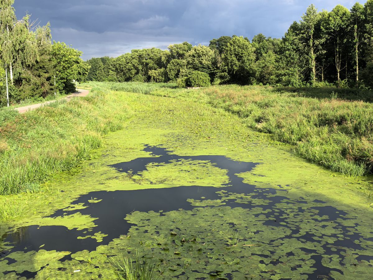 Weather Photos in Lublin Voivodeship. Weather forecasts with beautiful photos by Gav