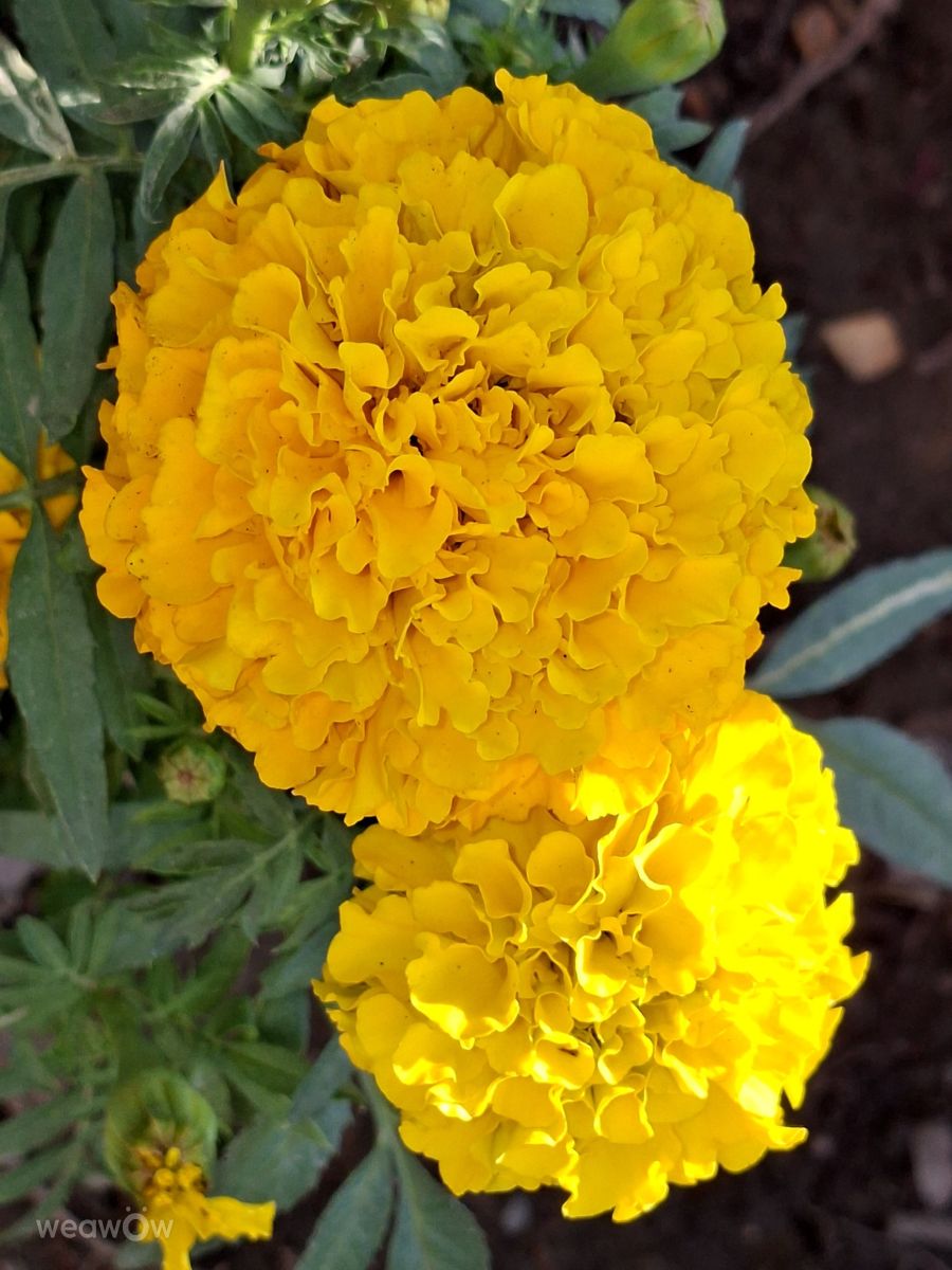 Photos météo à Kaohsiung. Prévisions météo avec de superbes photos de Wen-ya Huang