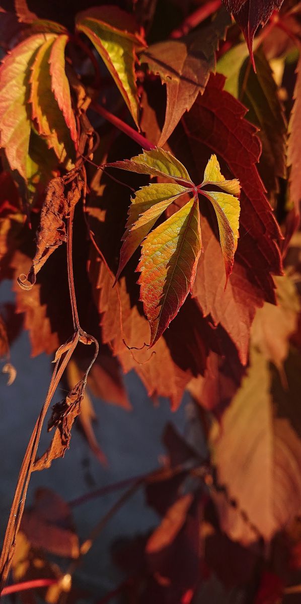 Weather Photos in Kharkivs’ka Oblast’. Weather forecasts with beautiful photos by Михаил Гавриков