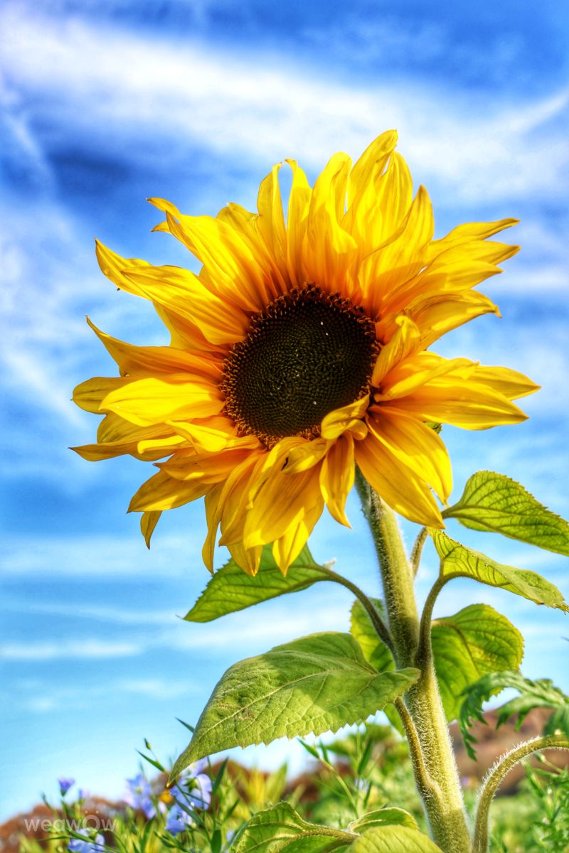 Photographer Lotti5507, Weather Photos in Holzen - Weawow