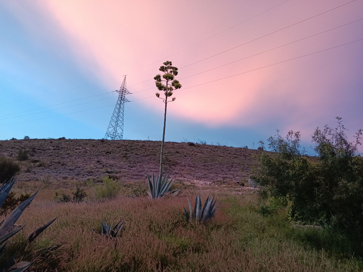Weather forecasts with beautiful photos by Sergio Davila