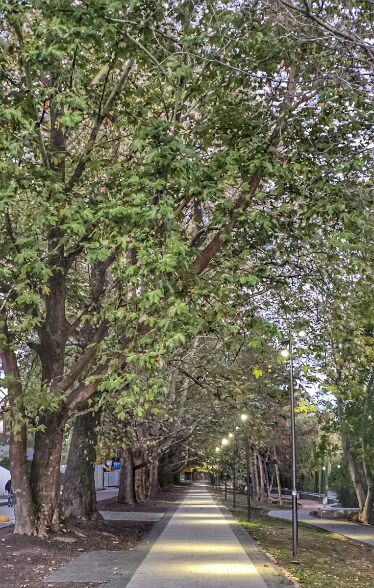 Weather Photos in Simferopol. Weather forecasts with beautiful photos by Djorian