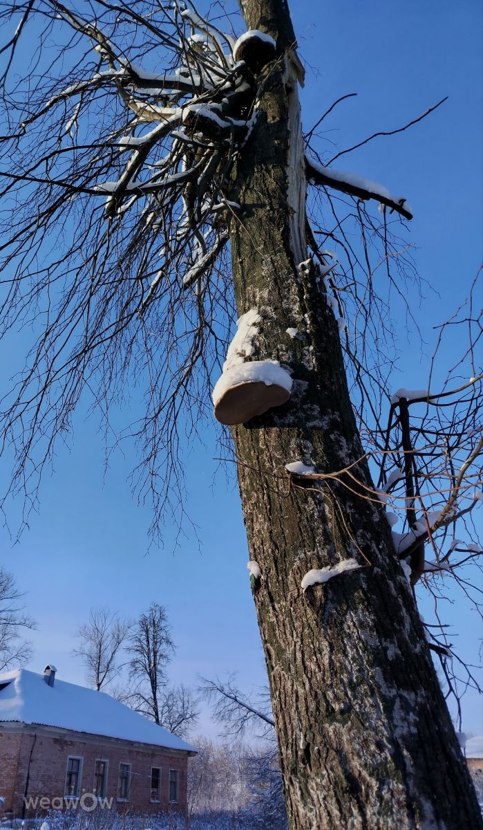 Фотографии Погоды в Тульская Область. Прогнозы погоды с чудесными фотографиями, сделанными Svetlana3