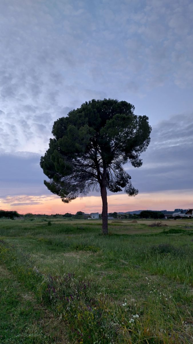 Weather Photos in Pýrgos. Weather forecasts with beautiful photos by Vasilis_Kosmidis