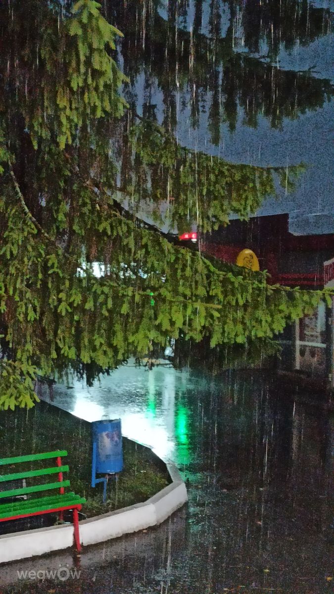 Weather Photos in Kharkiv. Weather forecasts with beautiful photos by ВитаВика