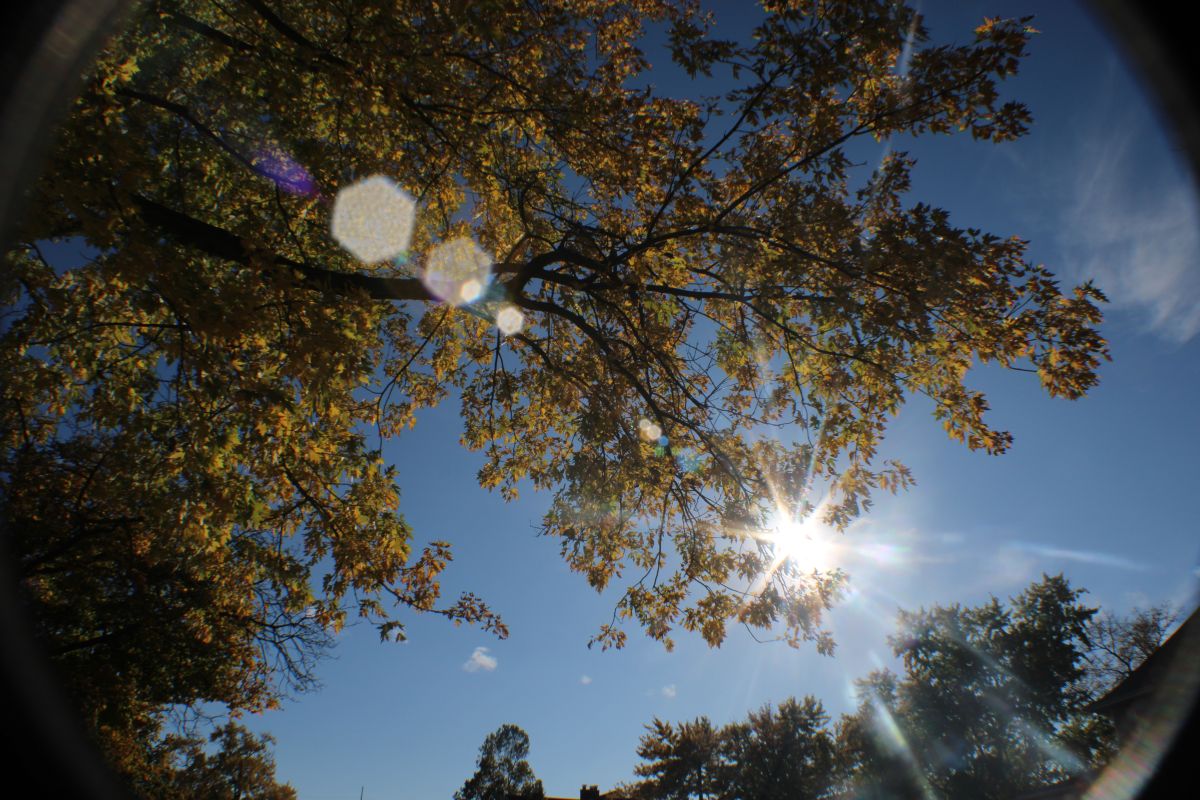 Photographer sonnydayediting, Weather Photos in South Bend Weawow