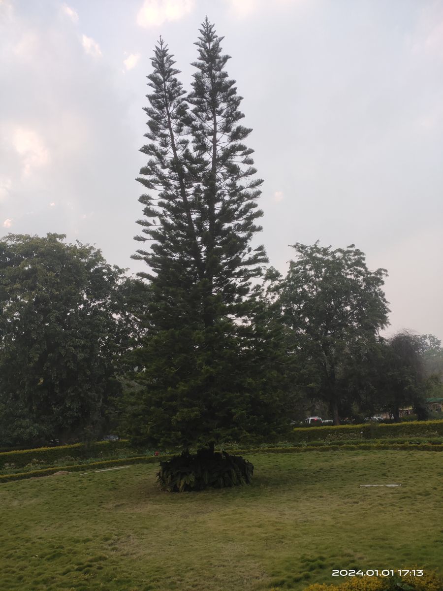 Pachmarhiの天気写真. Mmmbhupiの美しい写真による天気予報