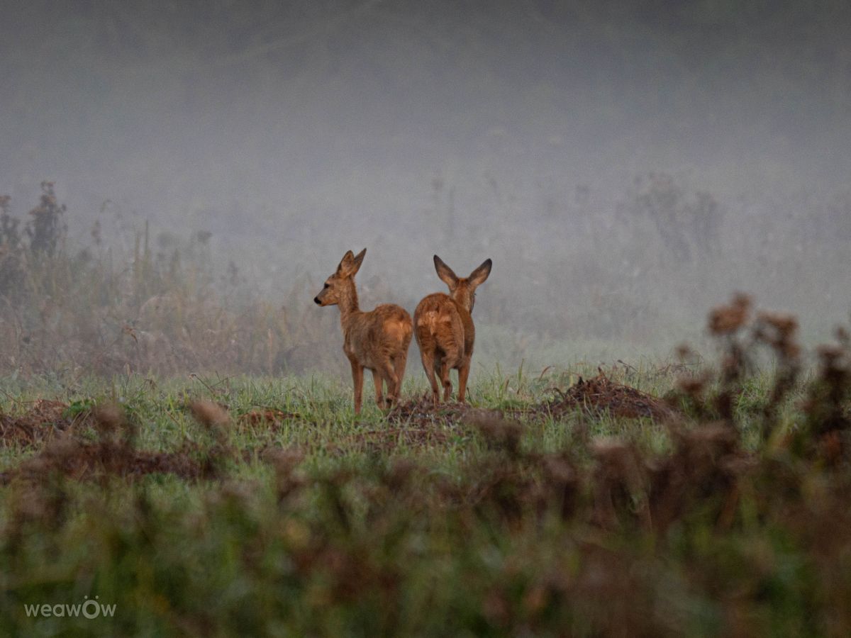 ギジツコの天気写真. Grzegorz Jakackiの美しい写真による天気予報