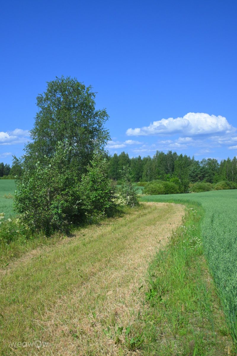 Weather Photos in Finland. Weather forecasts with beautiful photos by Kokorhekkus