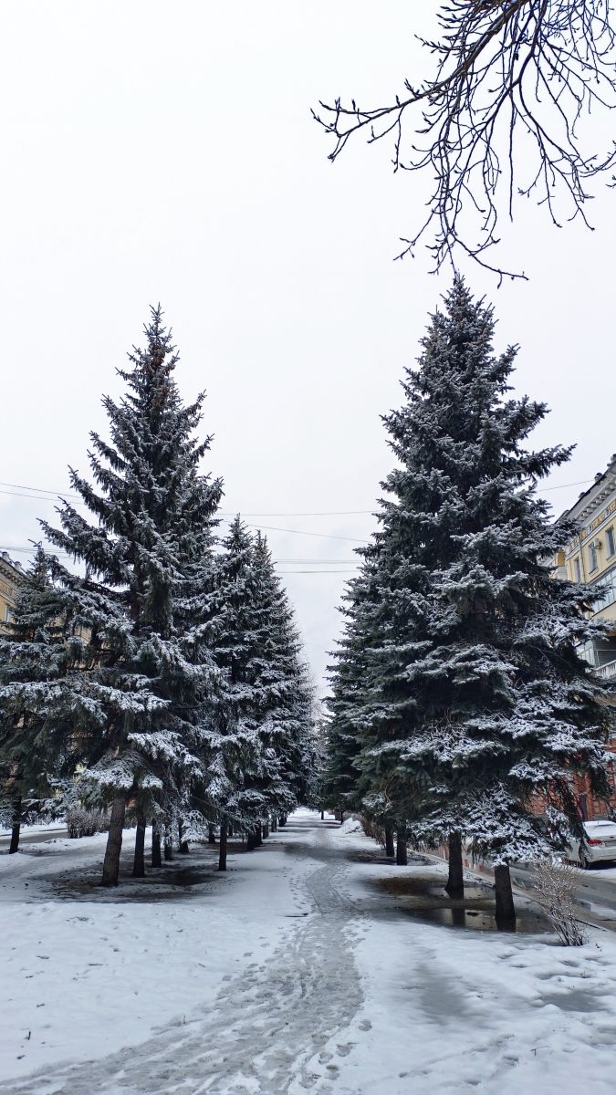 Weather Photos in Novokuznetsk. Weather forecasts with beautiful photos by Михаил Бондаренко