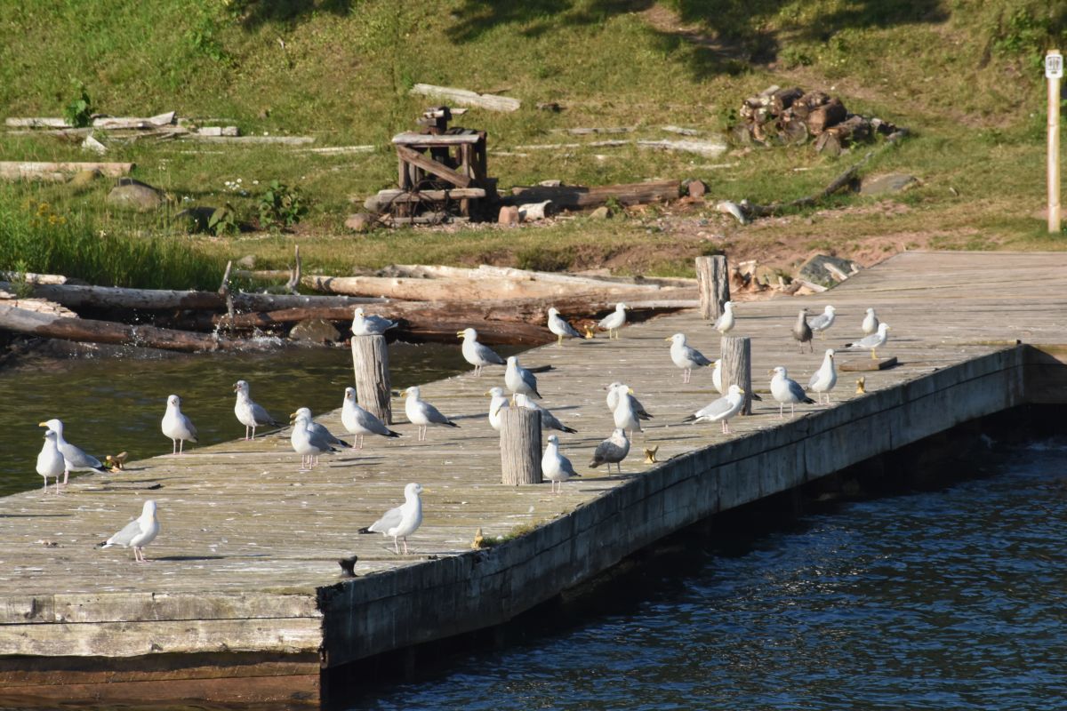 Фотографии Погоды в Apostle Islands. Прогнозы погоды с чудесными фотографиями, сделанными krantzjh