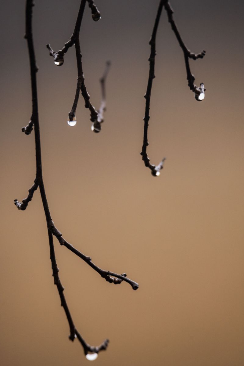 Wettervorhersagen mit schönen Fotos von Nymph542