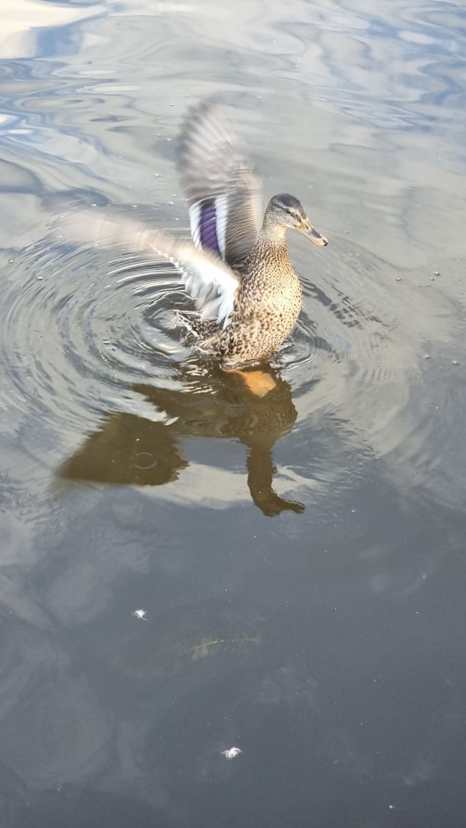 Wetter Photos Tver Oblast. Wettervorhersagen mit schönen Fotos von НаталиМ