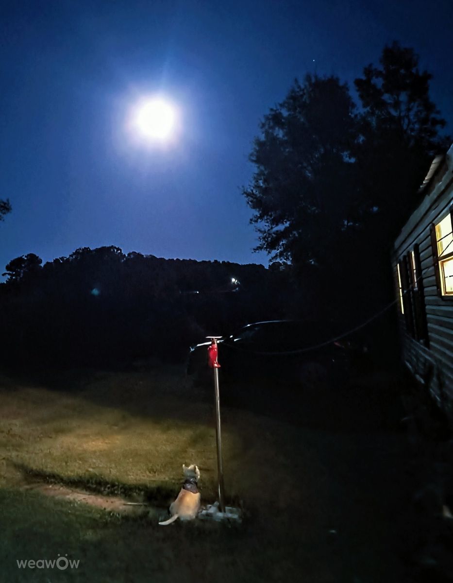 Photos météo à North Carolina. Prévisions météo avec de superbes photos de EZ1