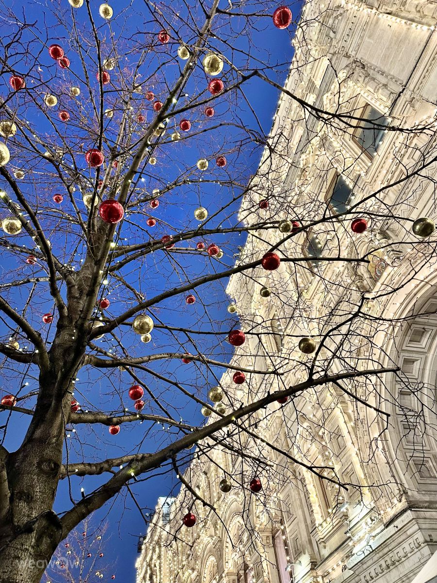 Wettervorhersagen mit schönen Fotos von Ritha