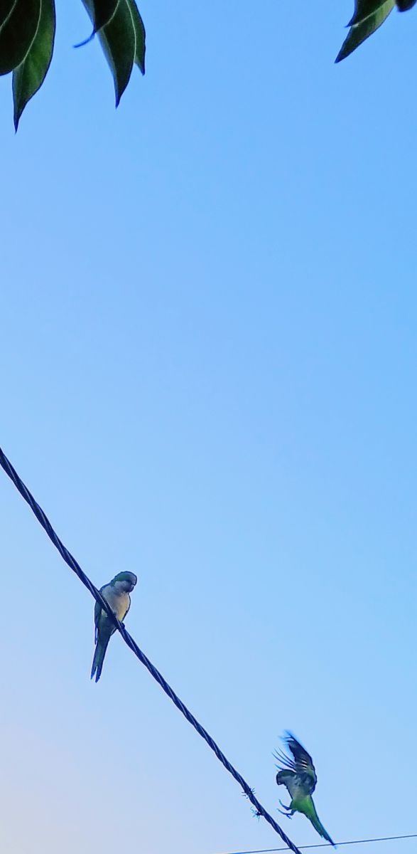 Weather Photos in Olivos. Weather forecasts with beautiful photos by SEBASTIAN14