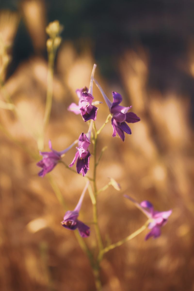 Wetter Photos Kropywnyzkyj. Wettervorhersagen mit schönen Fotos von Synieok