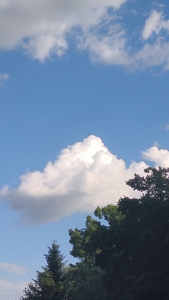 Prévisions météo avec de superbes photos de YanBog