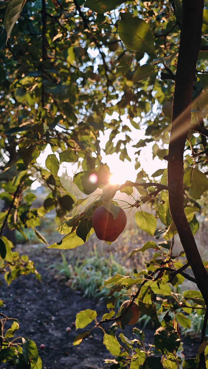 Wetter Photos Kropywnyzkyj. Wettervorhersagen mit schönen Fotos von Synieok