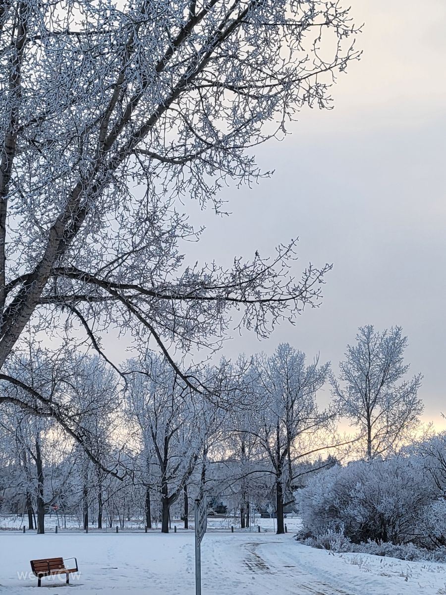 Weather forecasts with beautiful photos by Luxlucet