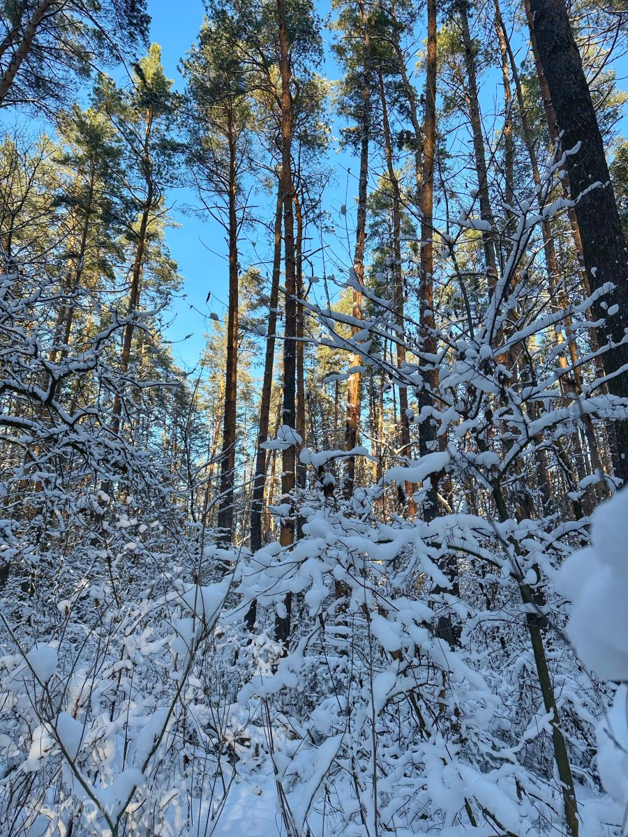 Fotos do tempo em Irpin. Previsões do tempo com lindas fotos de Інна