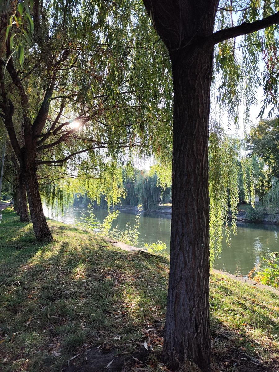 Weather Photos in Timișoara. Weather forecasts with beautiful photos by Lupsaman