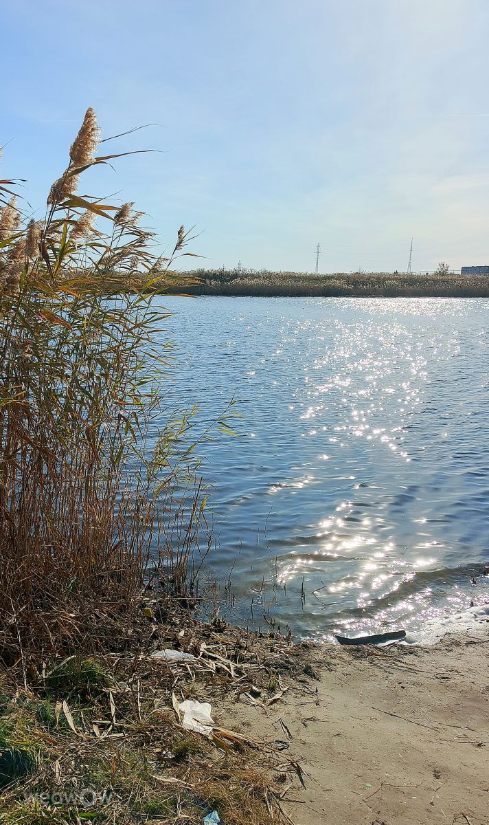 Weather Photos in Kurgan Oblast. Weather forecasts with beautiful photos by ElenaMak