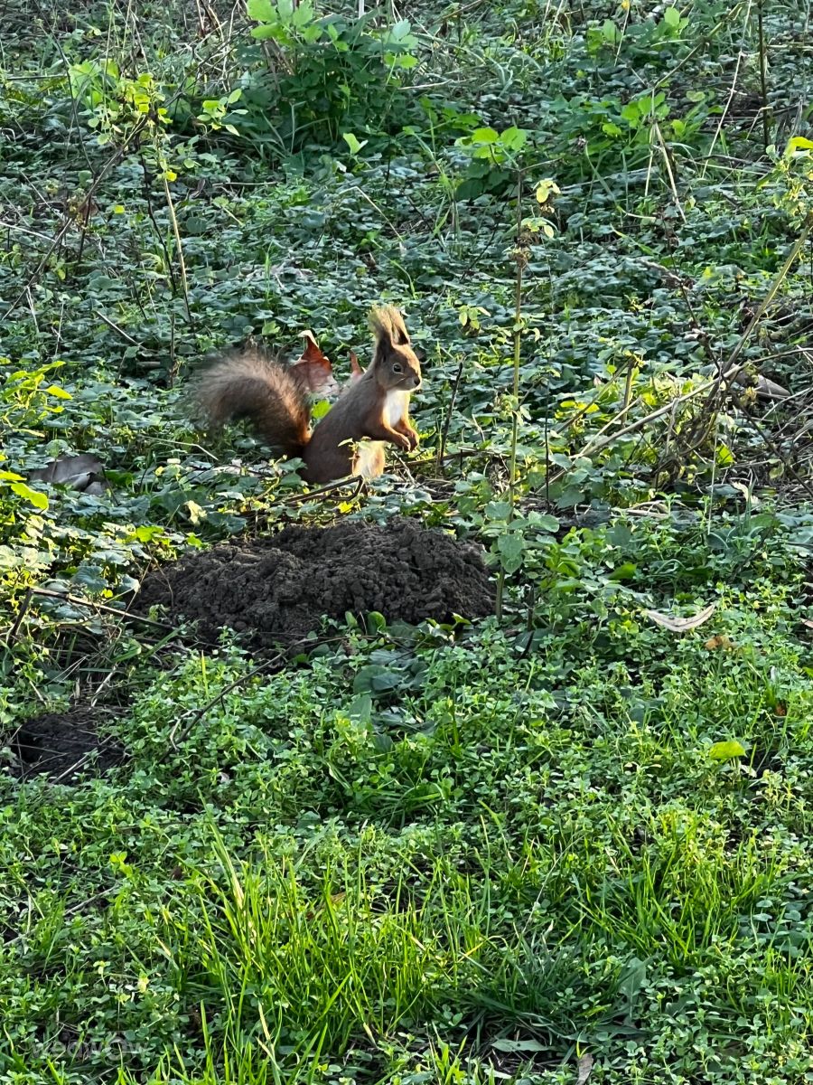 Фотографии Погоды в Кишинёв. Прогнозы погоды с чудесными фотографиями, сделанными InnaMoon