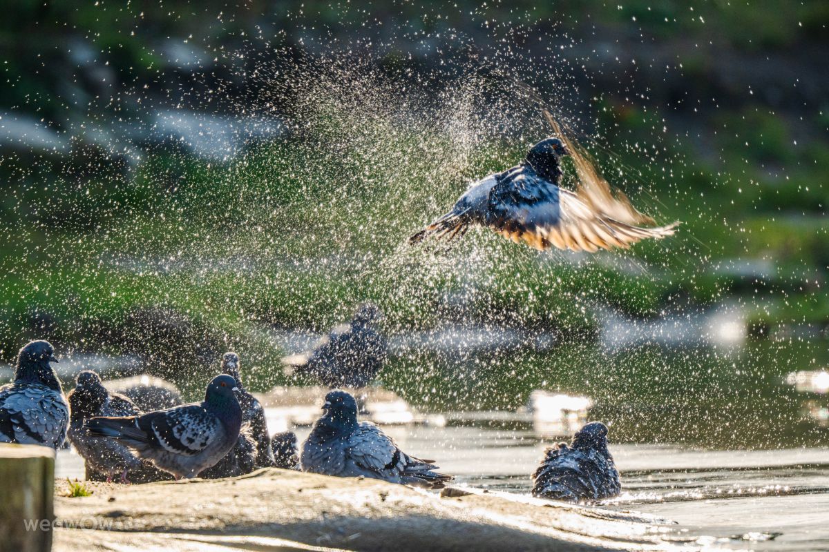Fotos do tempo em Giżycko. Previsões do tempo com lindas fotos de Grzegorz Jakacki