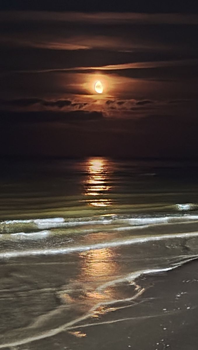 Photographer Olgert, Weather Photos in Dubulti - Weawow