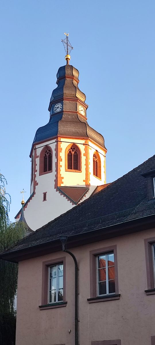 Photographer Tercis, Weather Photos in Ettlingen - Weawow