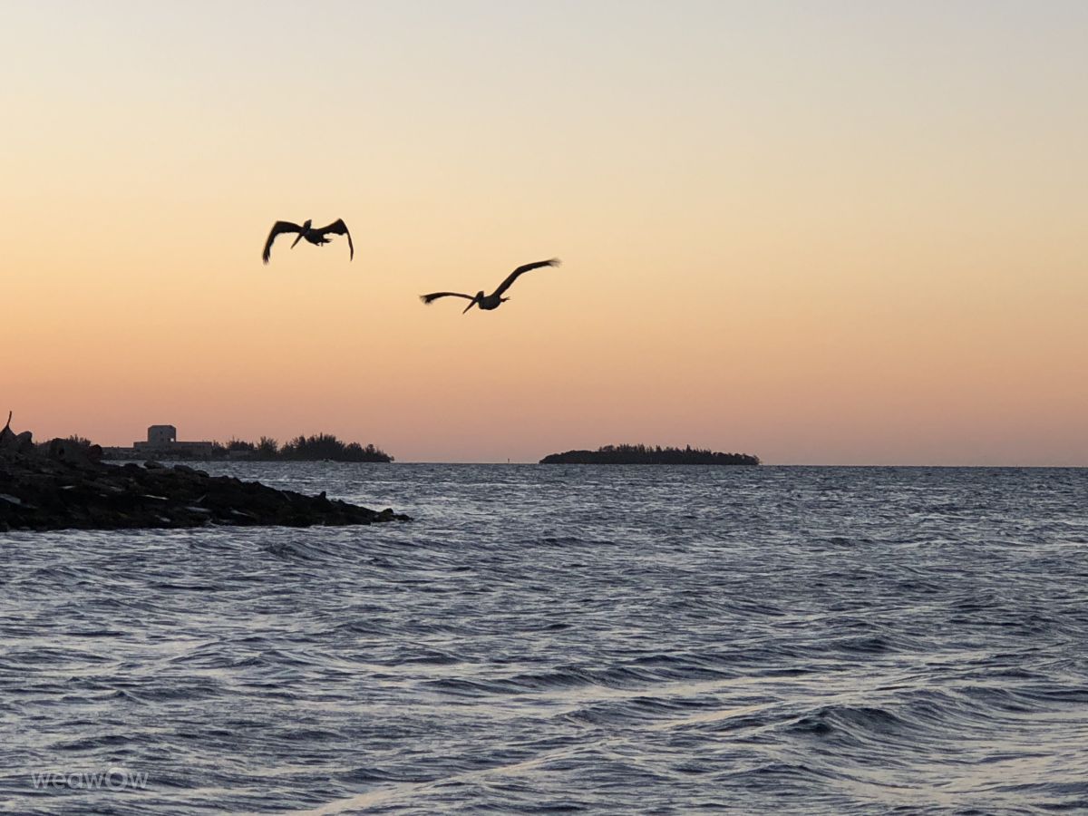 Weather forecasts with beautiful photos by jglass2000. jglass2000.