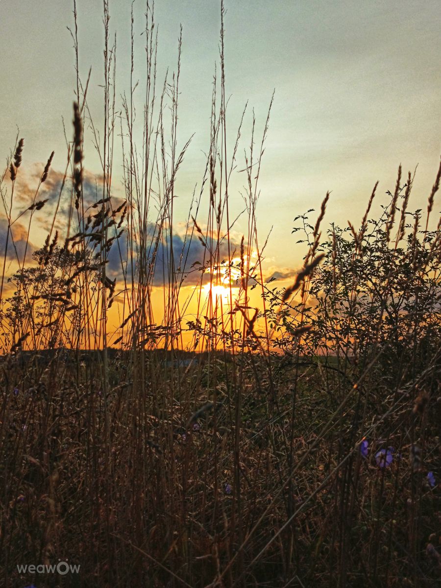 Weather forecasts with beautiful photos by _richardd