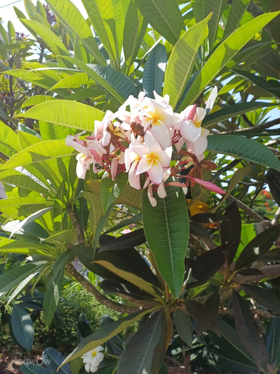 Photos météo à Holon. Prévisions météo avec de superbes photos de Zaza