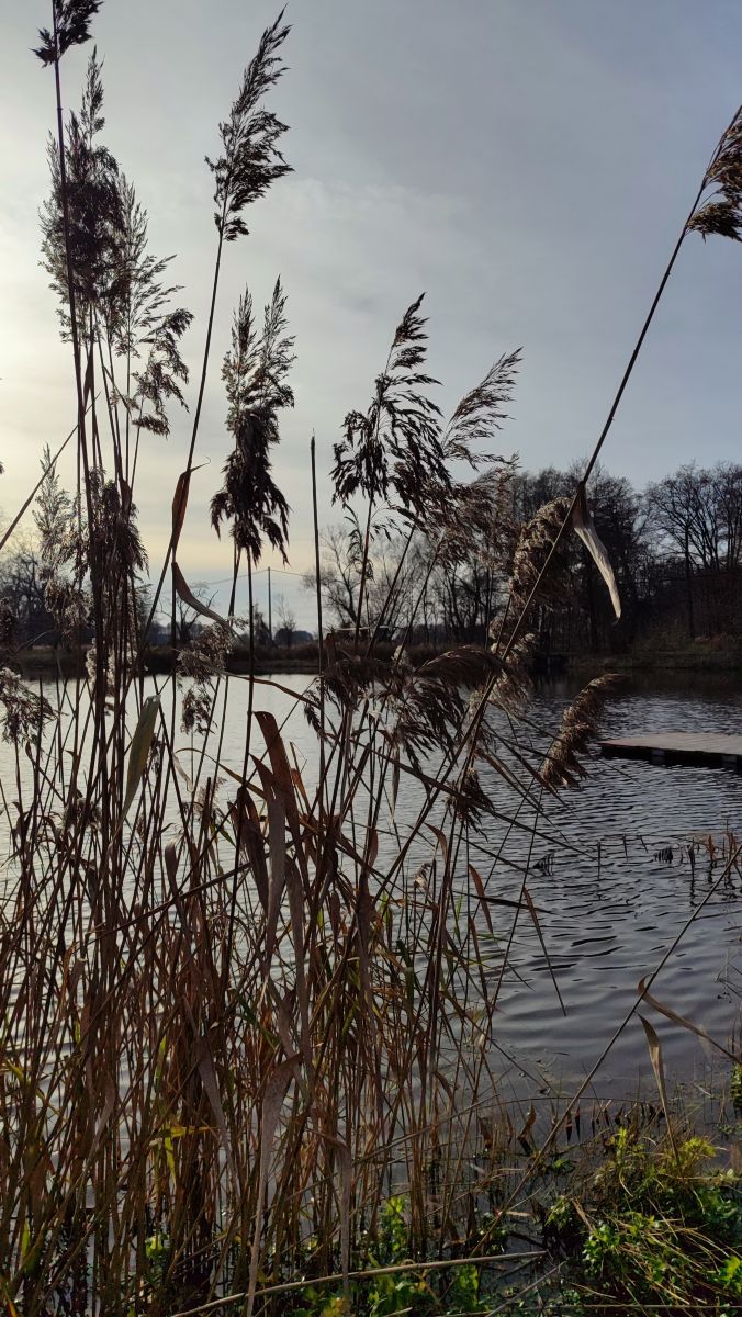 Fotos sobre el clima en Województwo Łódzkie. Pronósticos del tiempo con hermosas fotos de Romek58