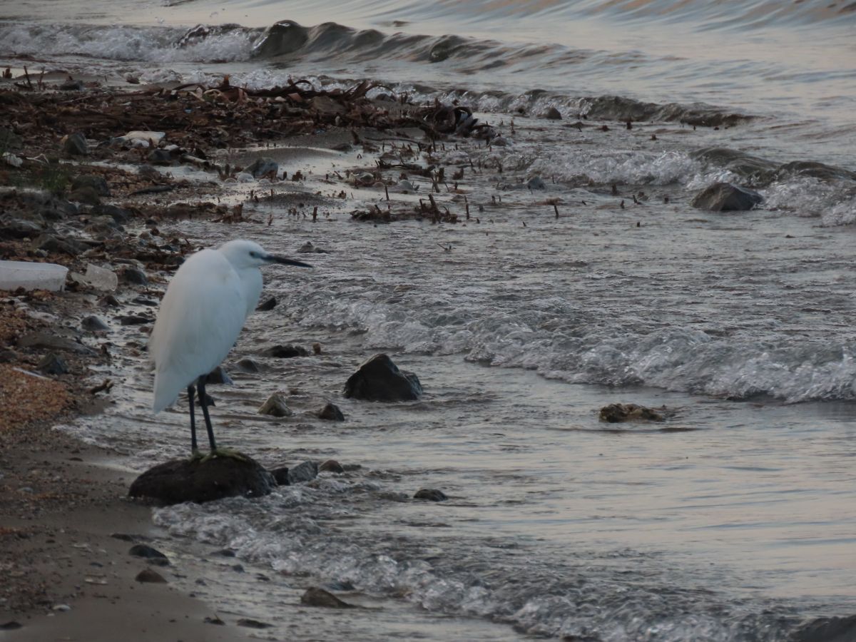 Hình ảnh Thời tiết ở Israel. Dự báo thời tiết với những bức ảnh đẹp của Sviatoslav