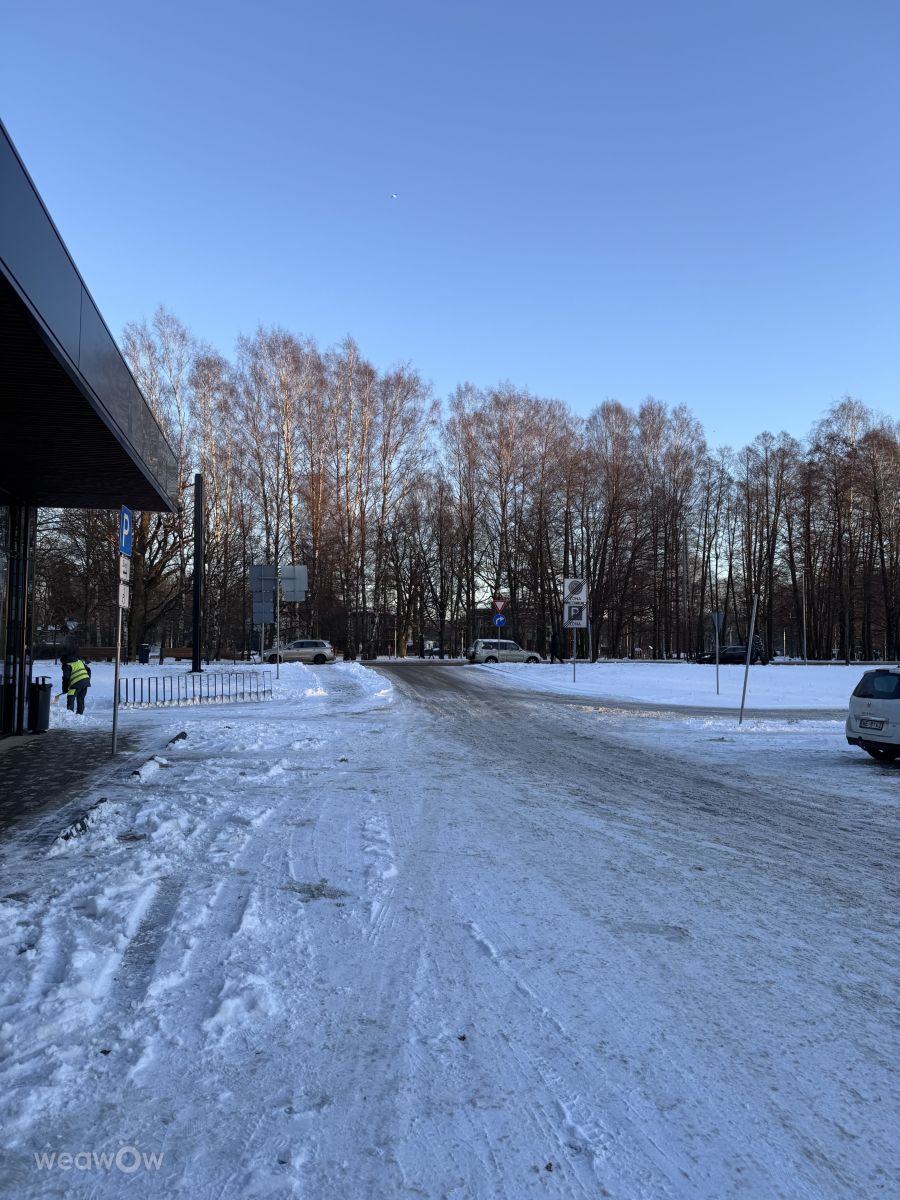 Photographer Svet-Lana, Weather Photos in Rīga - Weawow