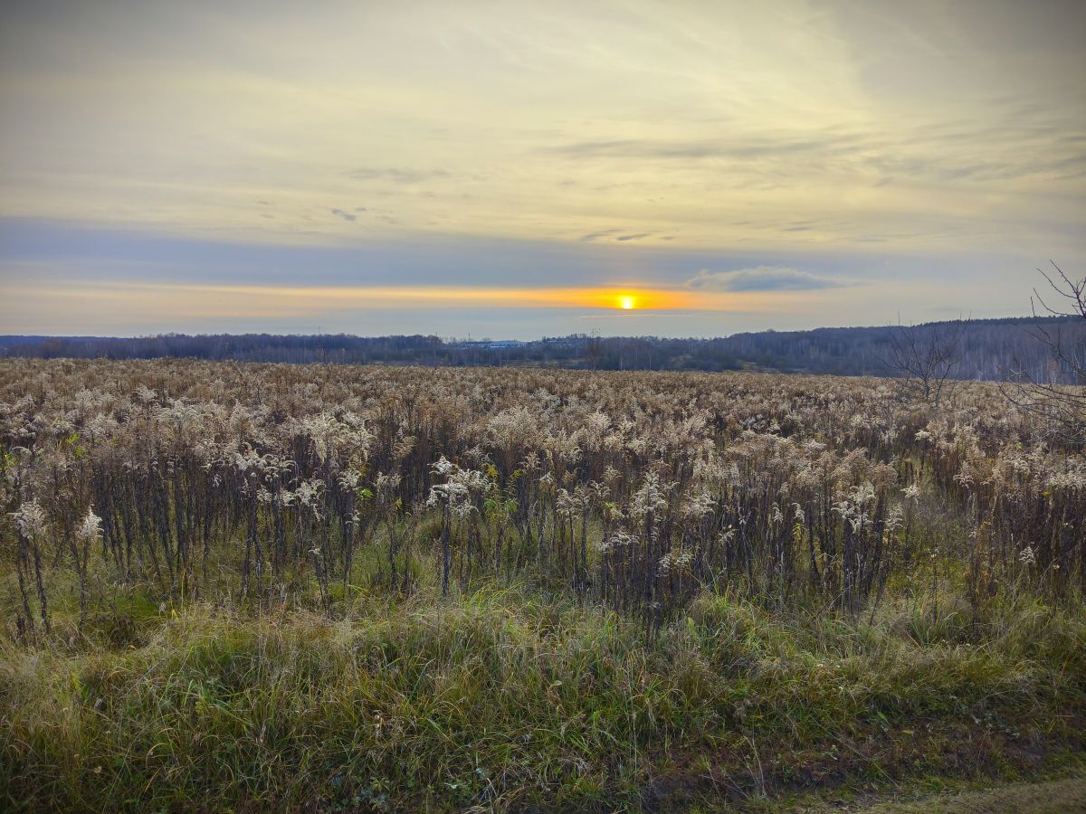 Fotos sobre el clima en Tula. Pronósticos del tiempo con hermosas fotos de Aleksei