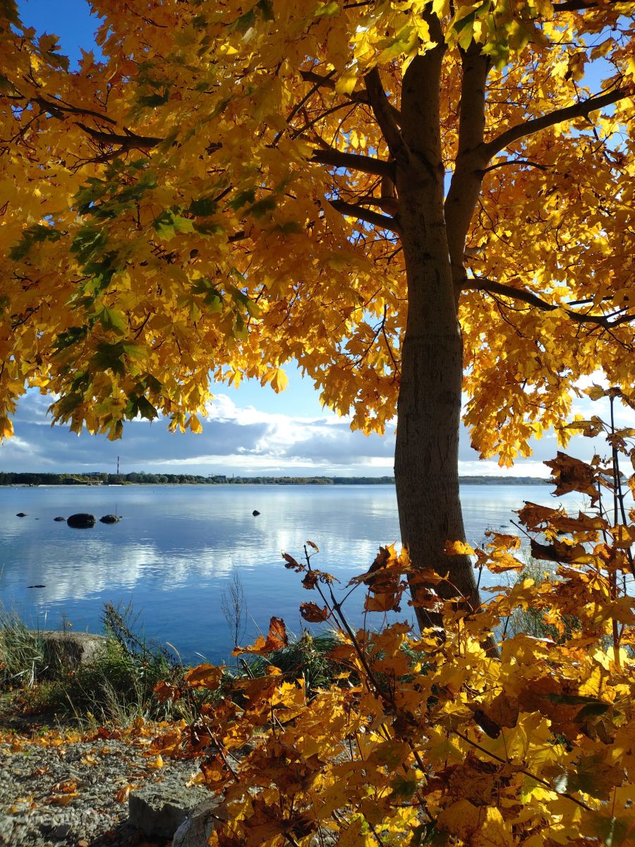 Prévisions météo avec de superbes photos de Jutik