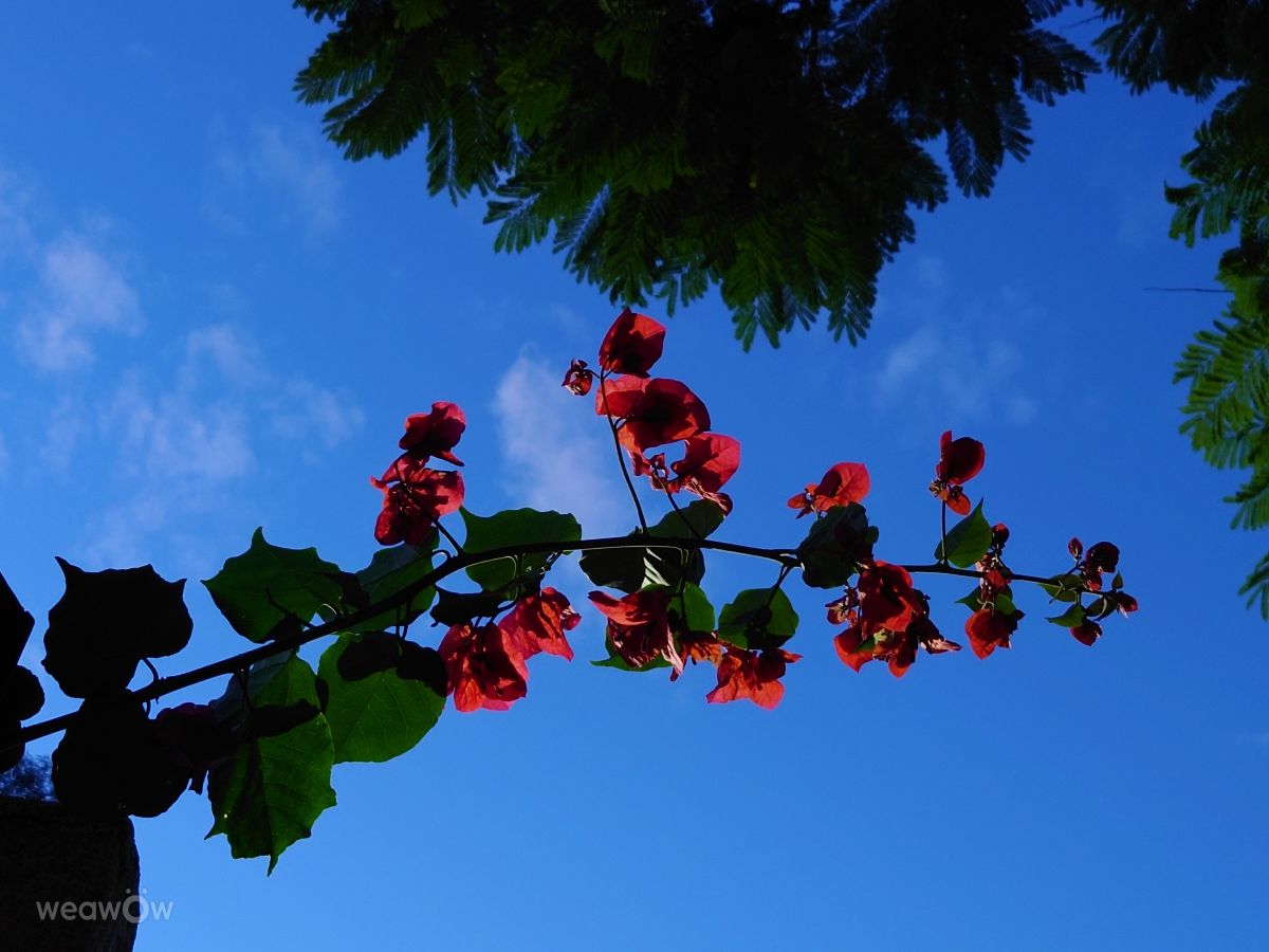 Weather forecasts with beautiful photos by Zakaria114