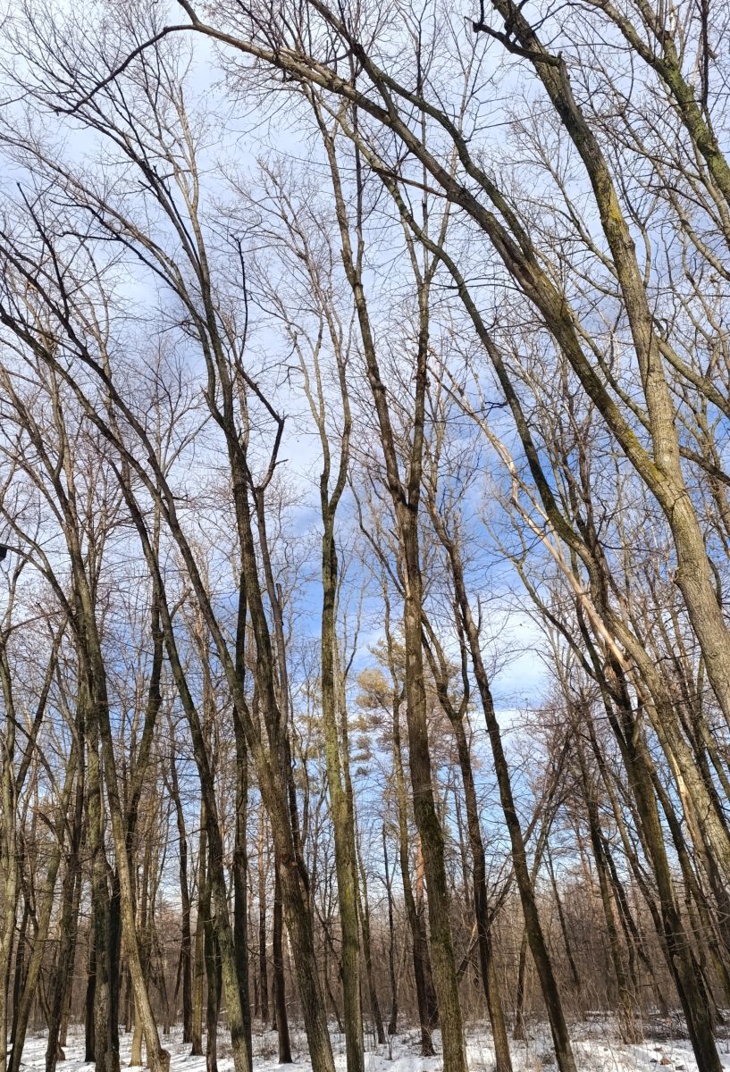 Fotos sobre el clima en Luhansk. Pronósticos del tiempo con hermosas fotos de Анж