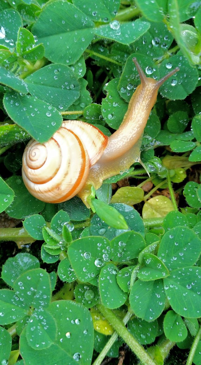 Photographer BHE6E, Weather Photos in Chernyanka - Weawow