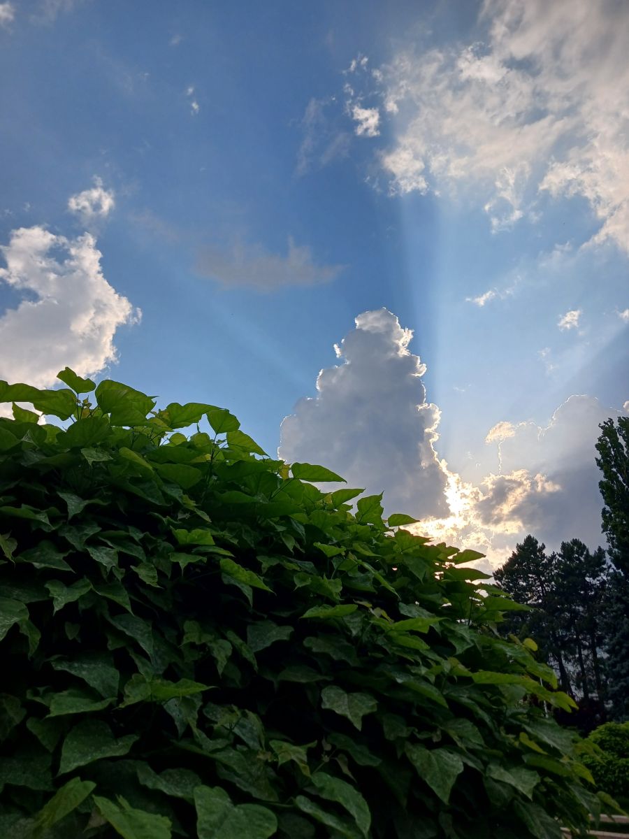 Photos météo à Krasnodar. Prévisions météo avec de superbes photos de StanBarret