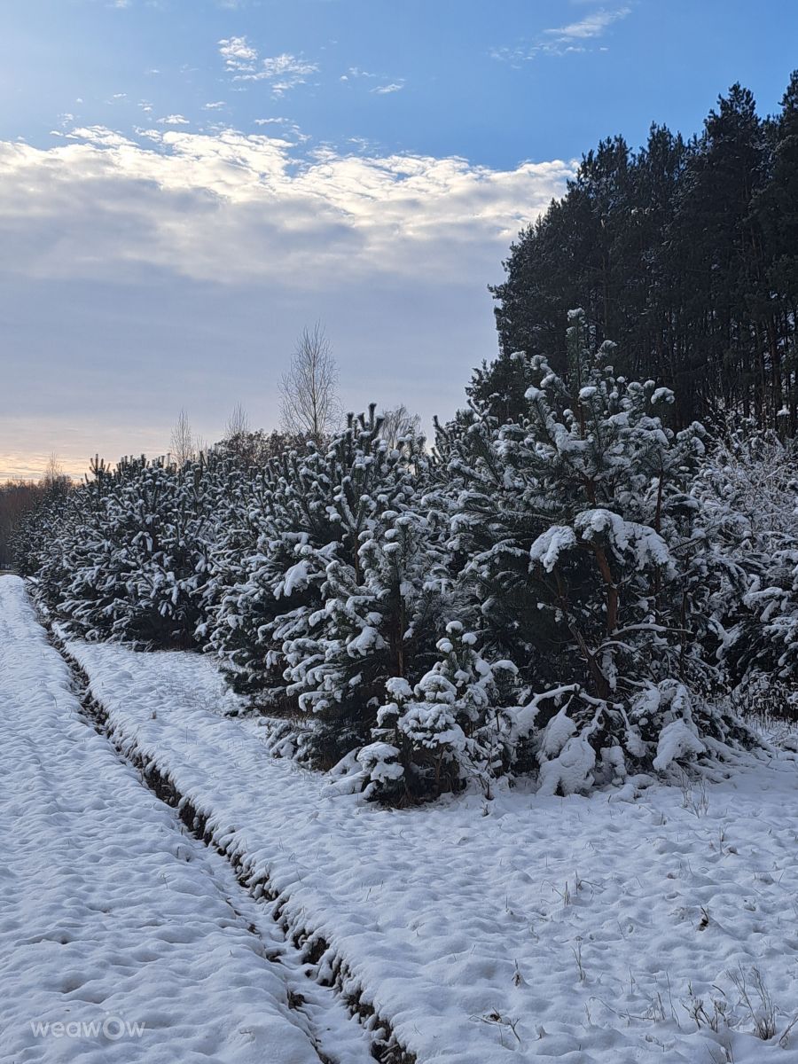 Hình ảnh Thời tiết ở Lublin Voivodeship. Dự báo thời tiết với những bức ảnh đẹp của luna1