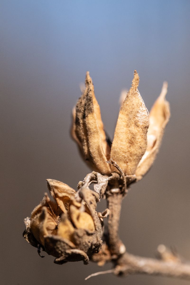 Weather Photos in Hanover. Weather forecasts with beautiful photos by krantzjh